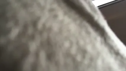 हॉट देसी गर्ल का कार में चूत चुदाई सेक्सी ब्लू फिल्म हिंदी बीएफ वीडियो — screenshot 5