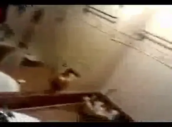 हरियाणा की नंगी लड़की ने होटल में चूत दिखाते हुए एमएमएस चुदाई वीडियो बनाया — screenshot 9
