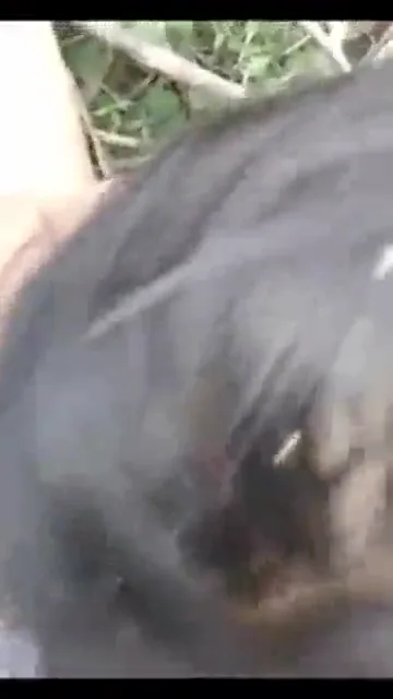 विलेज रंडी को दो लंड से एक साथ चोदा गांव चुदाई वीडियो — screenshot 4
