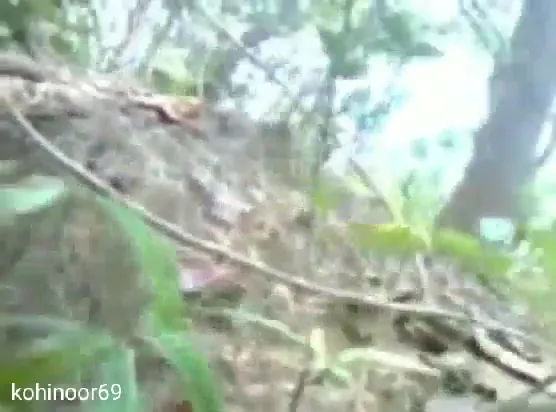 गांव की लड़की की जंगल में खुली चूत चोदाई देहाती सेक्स MMS ब्लू फिल्म वीडियो — screenshot 7