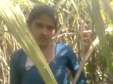 कोमल देहाती लड़की गन्ने के खेत में जोरदार चुदाई खाती हुई गांव की क्लिप — screenshot 2
