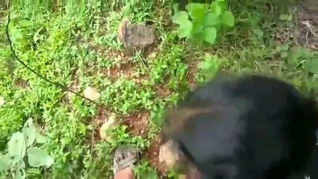 आँखों में आँखें डालकर लंड चूसती लड़की की देसी चुदाई हिंदी बीएफ ब्लू फिल्म वीडियो — screenshot 1