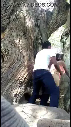 भाई ने सौतेली बहन की चूत को पार्क में जोरदार बजाया देसी चुदाई हिंदी बीएफ वीडियो — screenshot 6