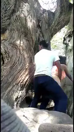 भाई ने सौतेली बहन की चूत को पार्क में जोरदार बजाया देसी चुदाई हिंदी बीएफ वीडियो — screenshot 10