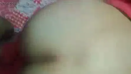 लाल लंड से देसी भाभी की चूत चुदाई करके गांड भी ठोकते हुए — screenshot 4