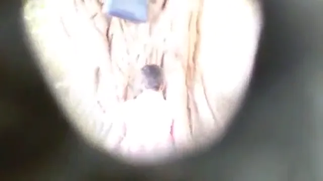 गार्डन में सेक्स करते देसी कपल का लीक्ड MMS गांड चुदाई वाला ब्लू फिल्म वीडियो — screenshot 1