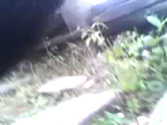 बिहारी लड़की की चिकनी चूत को जोरदार तरीके से चोदने का देसी सेक्स वीडियो — screenshot 5