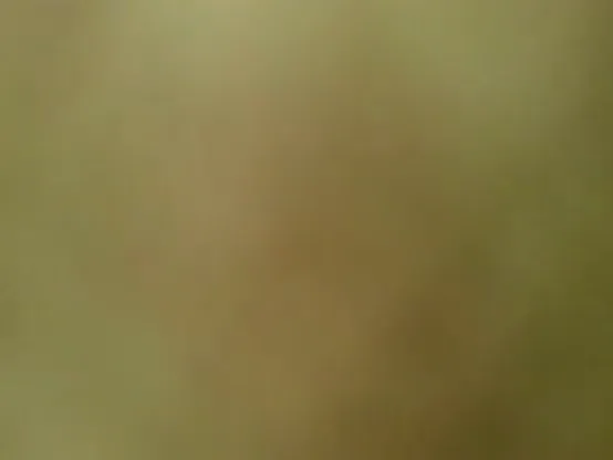 हॉट मुस्लिम कॉलगर्ल की चूत चुदाई कोठे पर क्लाइंट ने की MMS वीडियो — screenshot 7