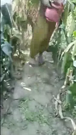 बड़े बूब्स वाली मोटी आंटी ने खुले में लंड चूसकर चूत चुदाई की ब्लू फिल्म — screenshot 5