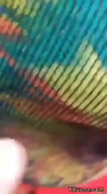 घने जंगल में गर्लफ्रेंड के गोरे बूब्स दबाकर लंड चुसाने वाली देसी सेक्स वीडियो — screenshot 2