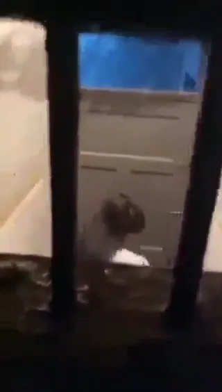 टॉयलेट में बड़ी काली गांड वाली लड़की चुदाई करते हुए वायरल एमएमएस — screenshot 1