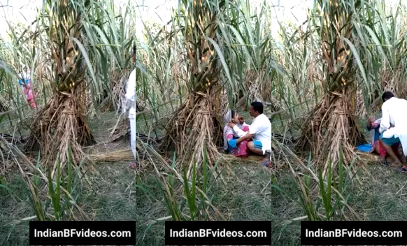 गन्ने के खेत में पड़ोसन की चूत चोदकर देसी सेक्स MMS गांव की हार्ड चुदाई वीडियो